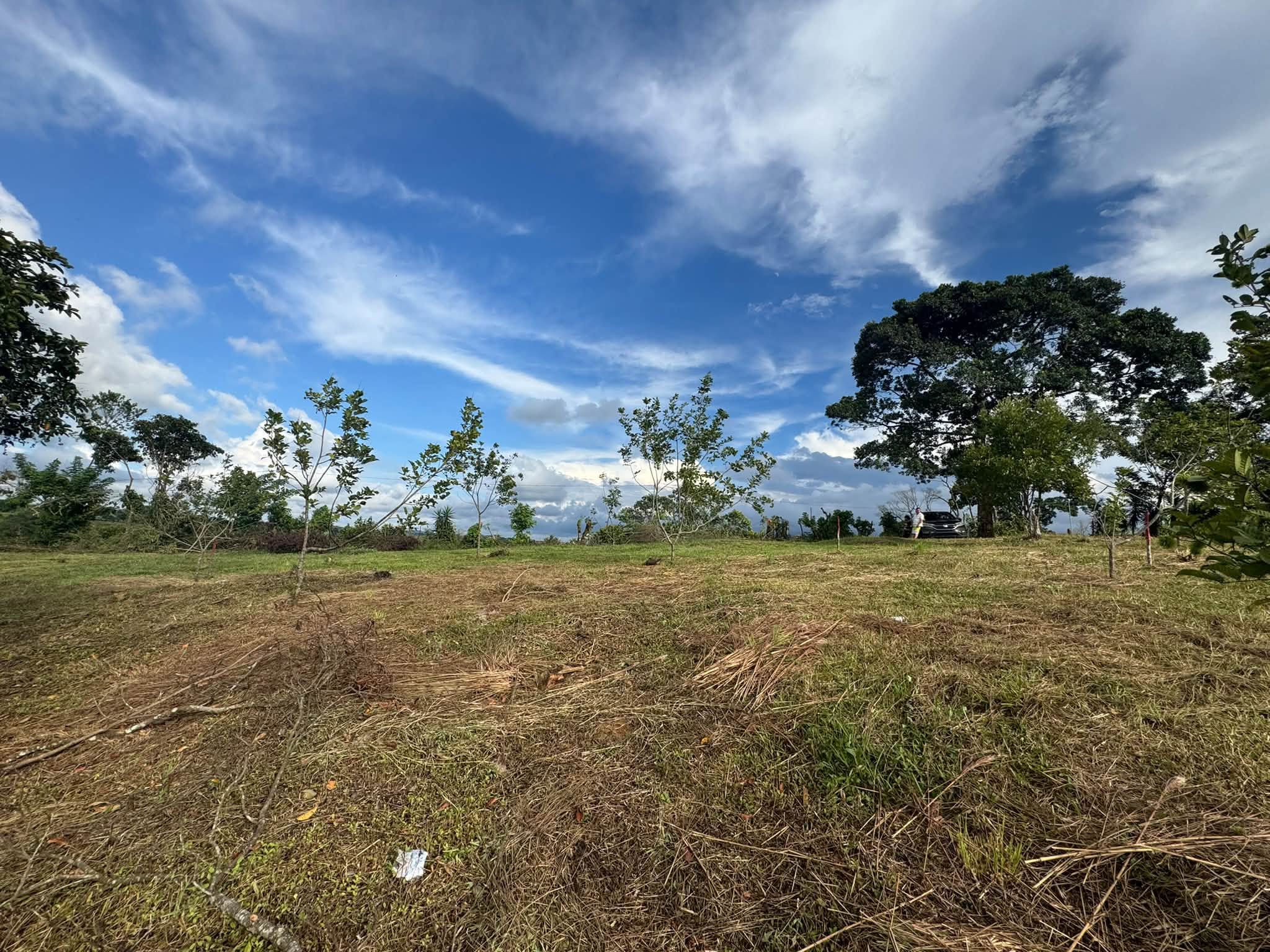 Lotes en venta en Montecillos